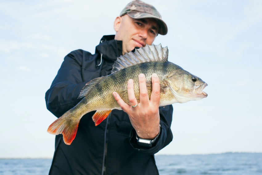 500 миллионов фото сделали клиенты билайн на рыбалке в Астраханской области