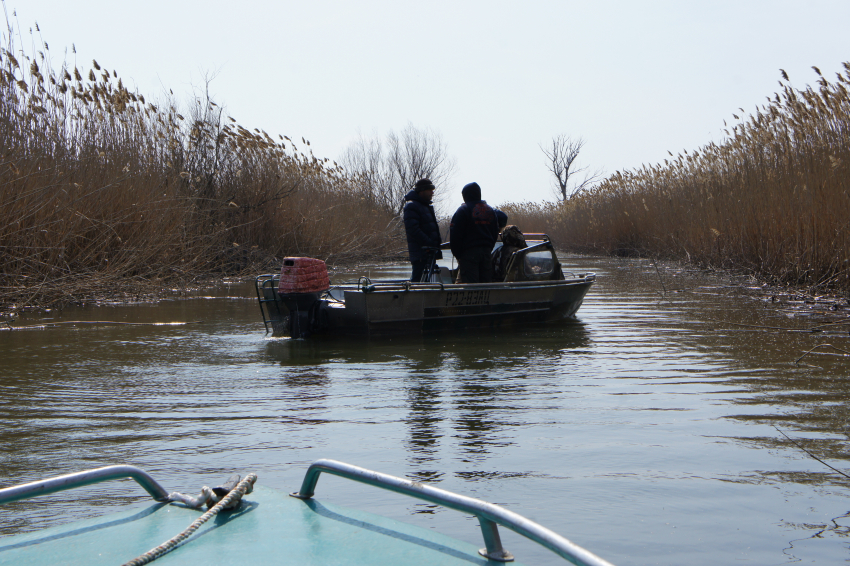 Под надзором: осужденные астраханцы лишились своего охотничьего билета