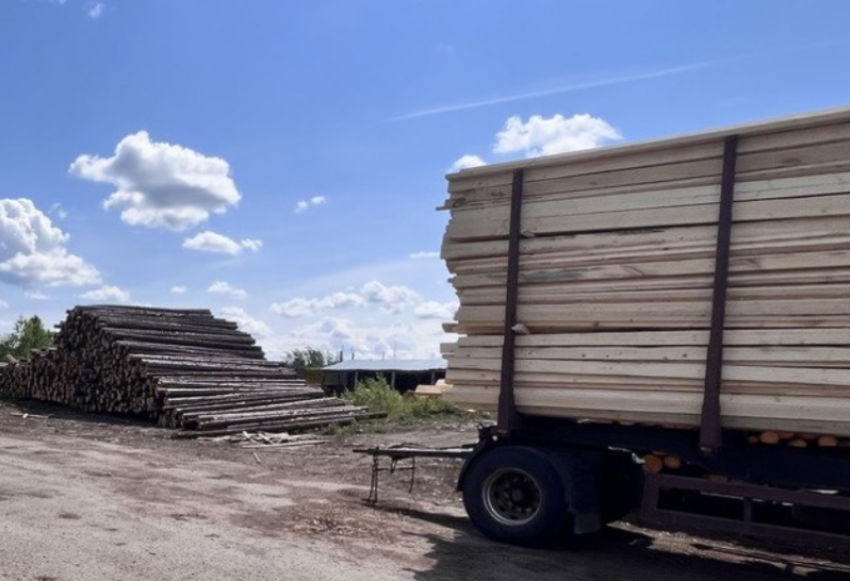 Астраханскую фирму поймали на контрабанде лесоматериалов в Азию