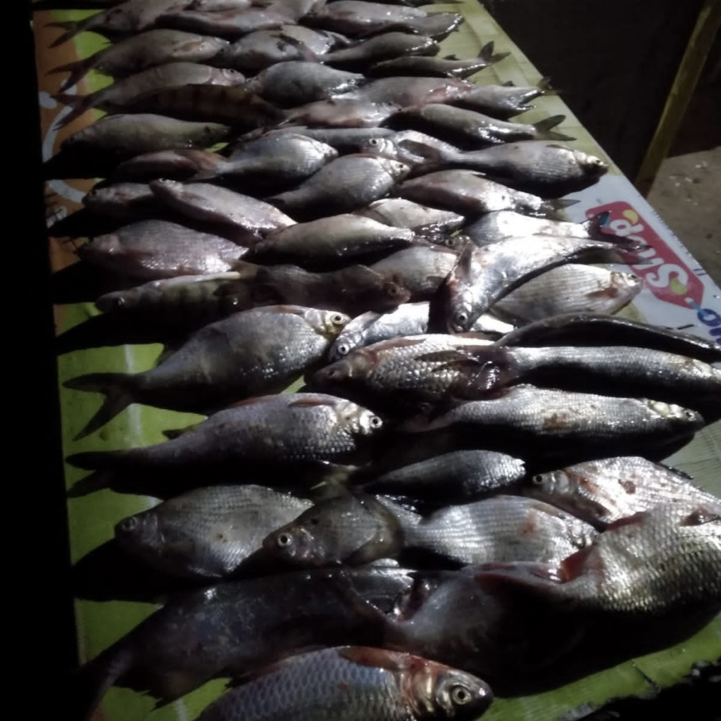 Рыбалка в Астрахани, астраханские рыбаки, рыбаки делятся своим уловом